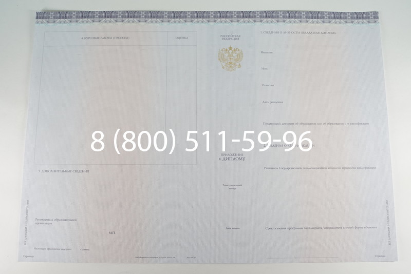 Диплом бакалавра (Киржач) 2014-2024 года в Рубцовске