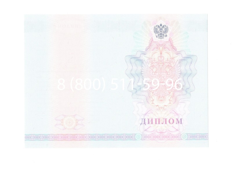 Заказать Диплом колледжа 2007-2010 годов в Рубцовске