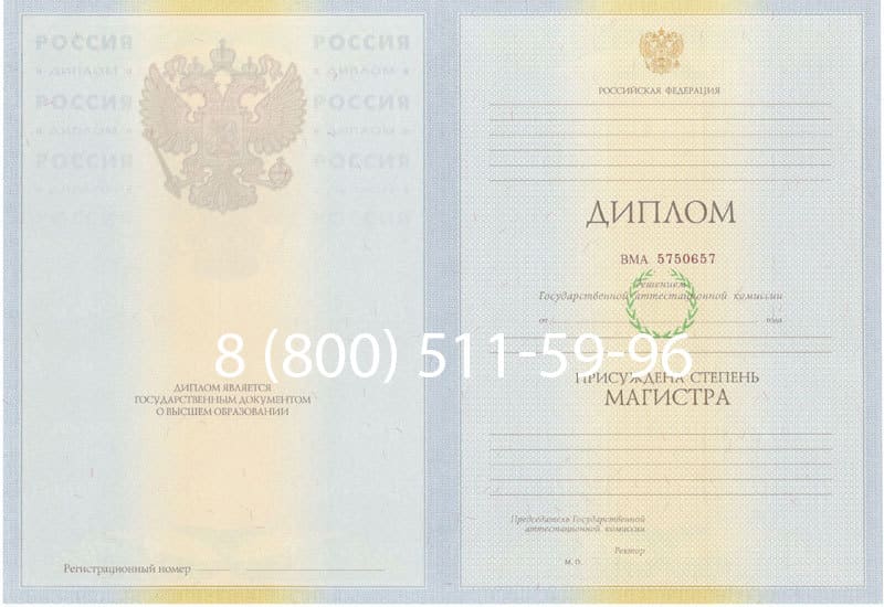 Купить Диплом магистра 2010-2011 годов в Рубцовске
