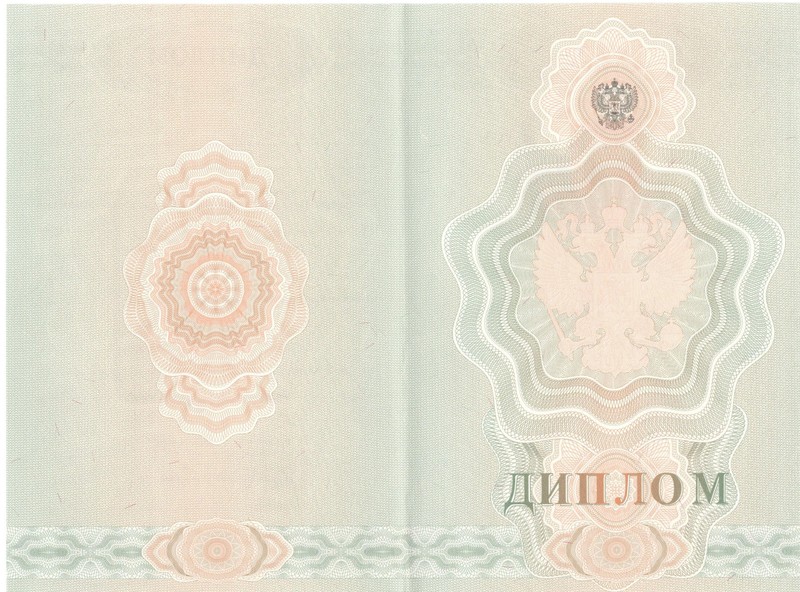 Купить Диплом о начальном образовании 2007-2009 годов в Рубцовске Купить Диплом о начальном образовании 2007-2009 годов в Рубцовске