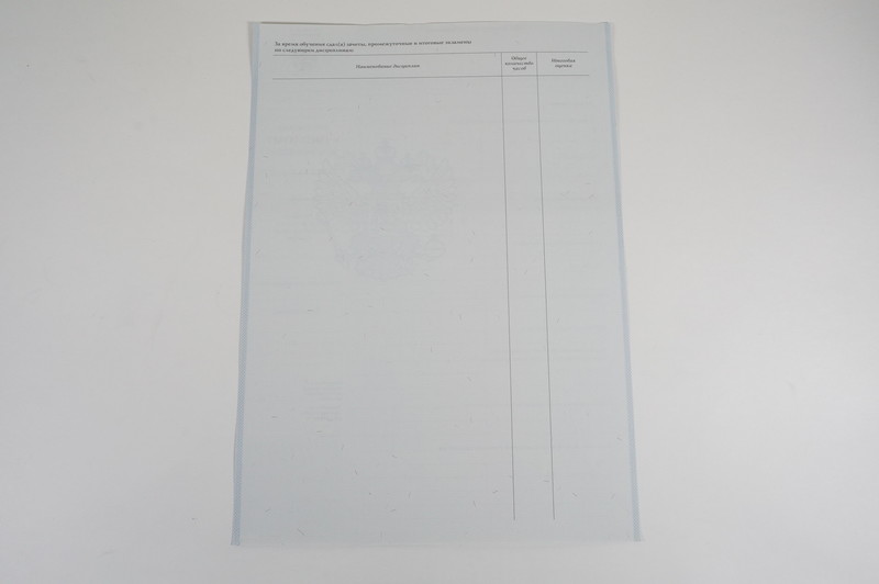 Диплом о начальном образовании 2007-2009 годов в Рубцовске Диплом о начальном образовании 2007-2009 годов в Рубцовске