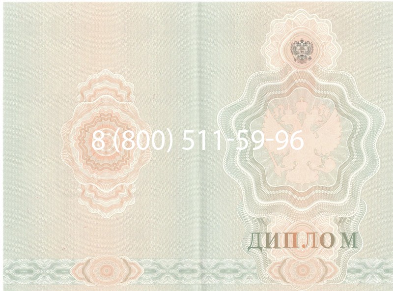 Купить Диплом ПТУ 2007-2010 годов в Рубцовске